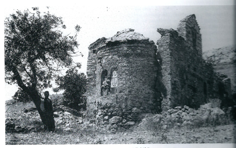 Col-0000-179 #3.jpg Col-0000-179 #3.jpg